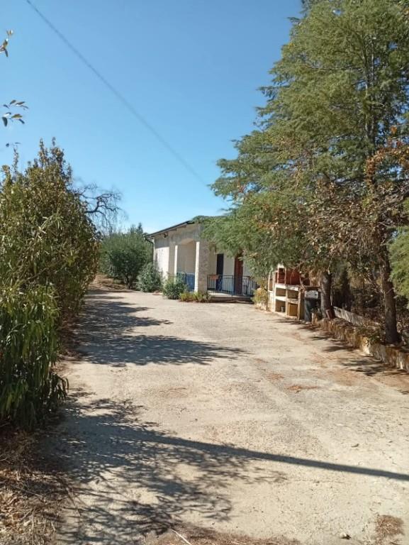 immagine annuncio 4 di 7