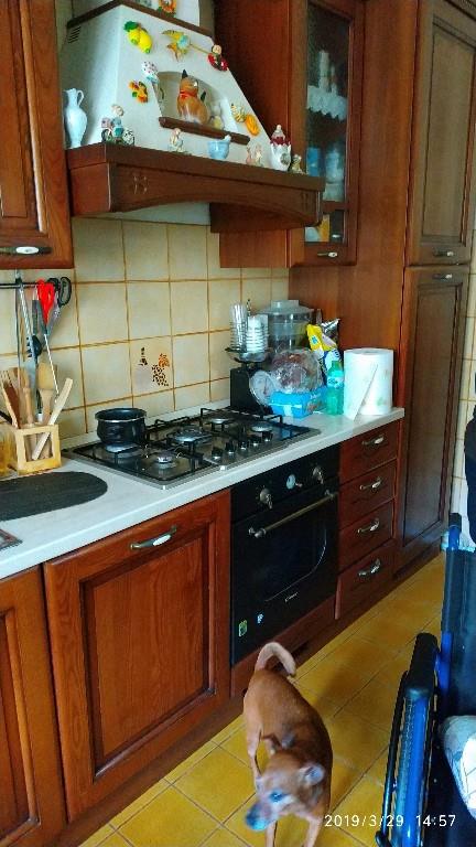 immagine annuncio 2 di 7