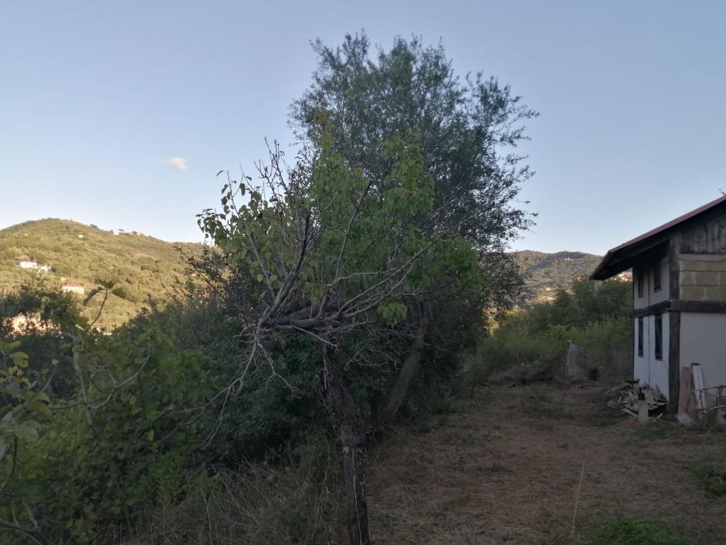 immagine annuncio 5 di 7