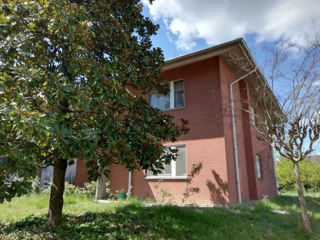 immagine annuncio 4 di 7