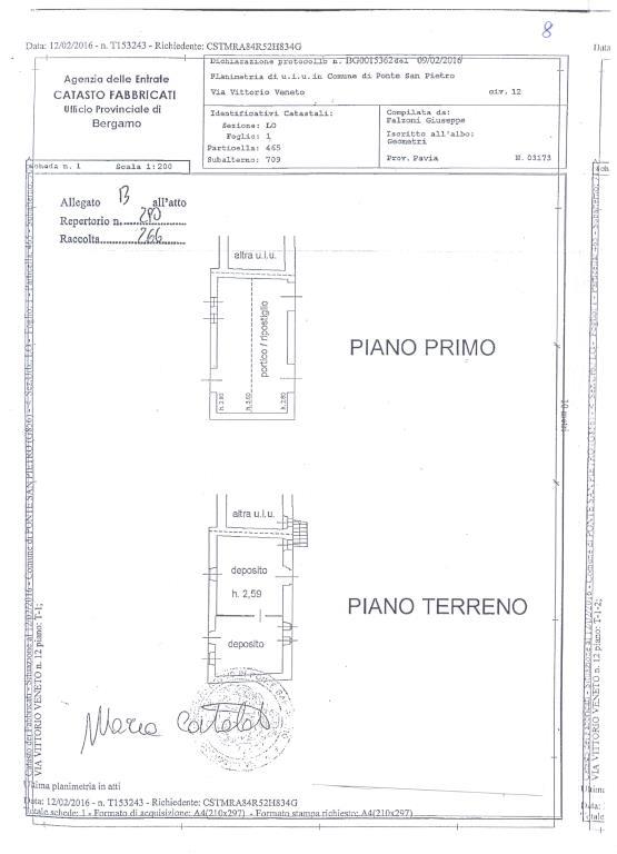 immagine annuncio 1 di 2