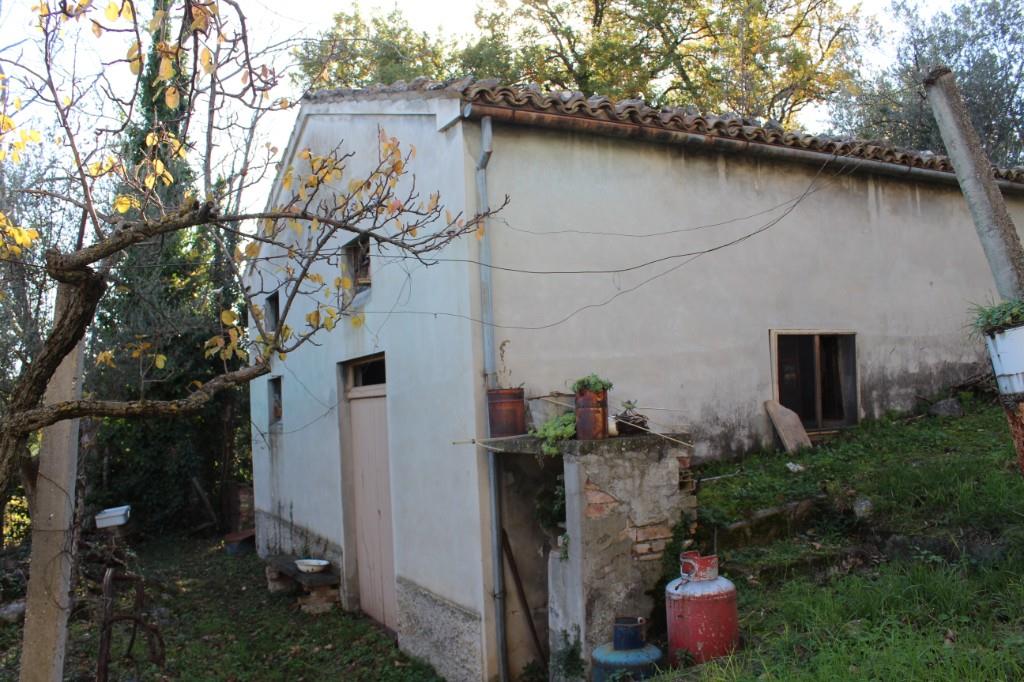 immagine annuncio 1 di 7