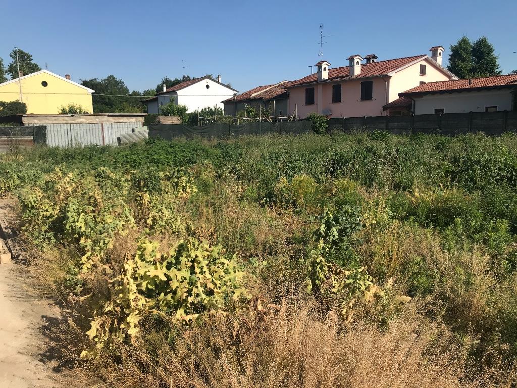 immagine annuncio 2 di 7