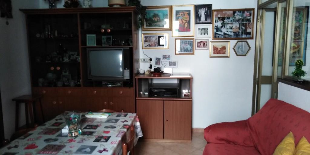 immagine annuncio 3 di 7