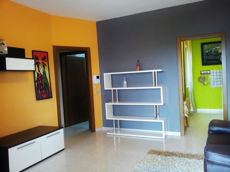 immagine annuncio 1 di 7