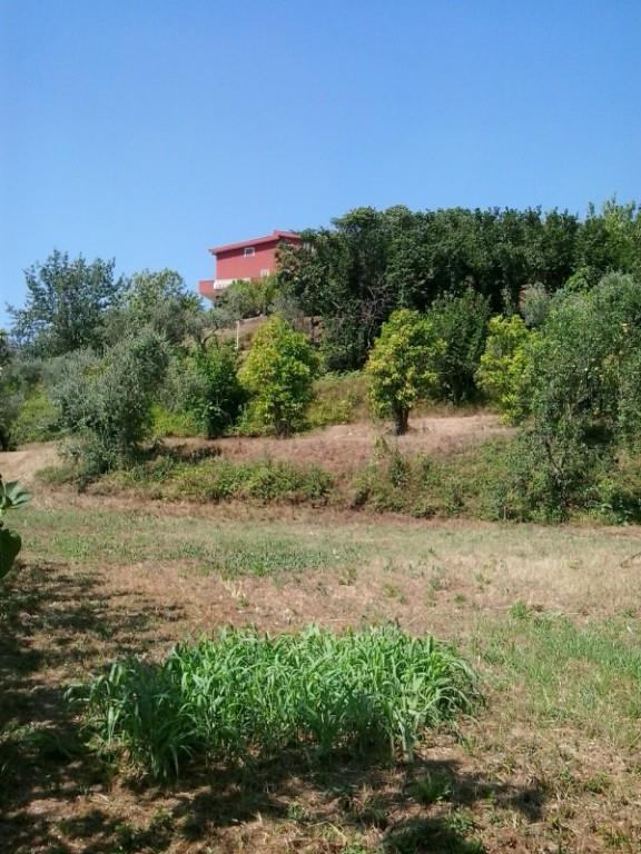 immagine annuncio 4 di 6