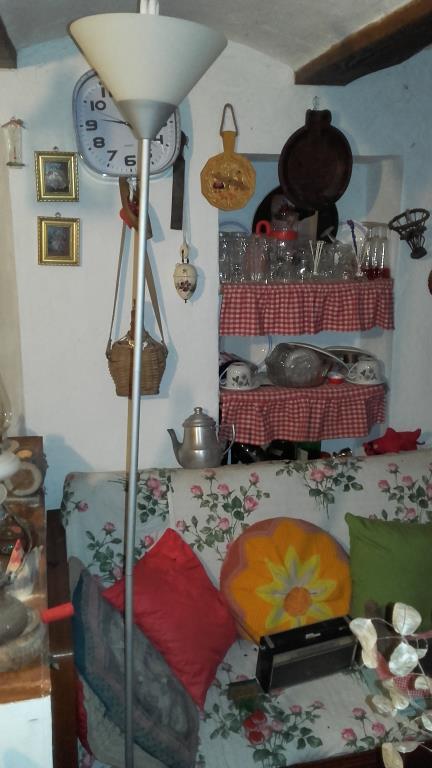 immagine annuncio 3 di 7