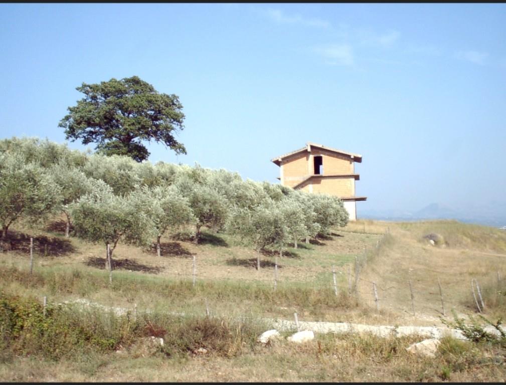 immagine annuncio 3 di 6