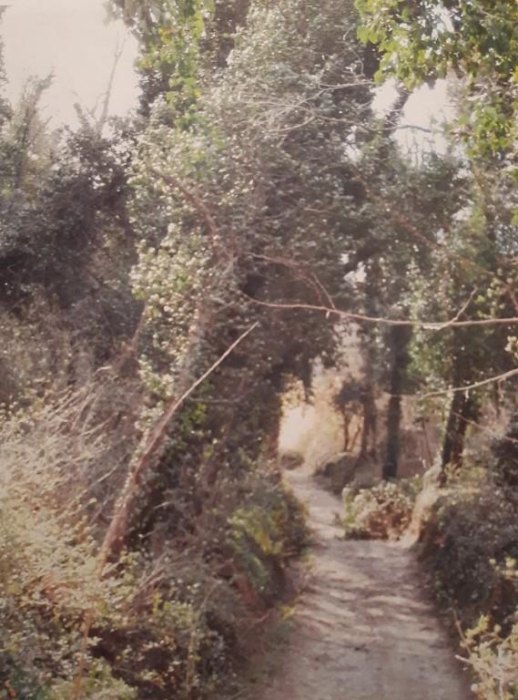 immagine annuncio 5 di 7