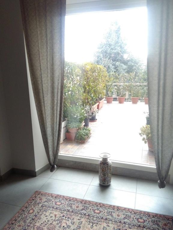 immagine annuncio 5 di 7