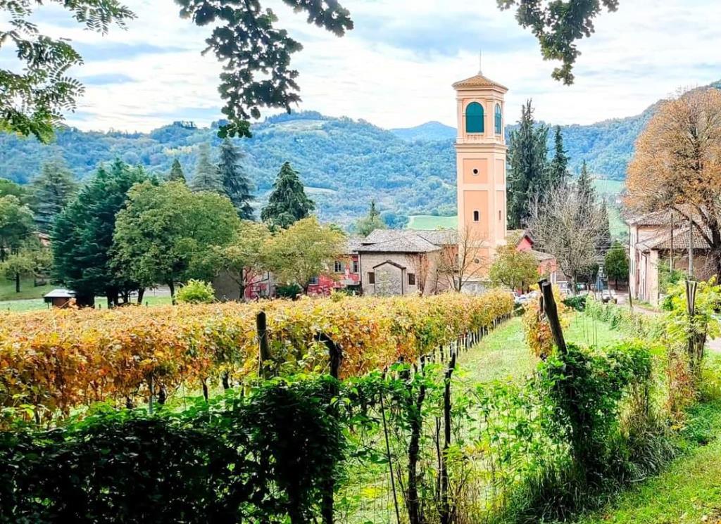 immagine annuncio 6 di 7
