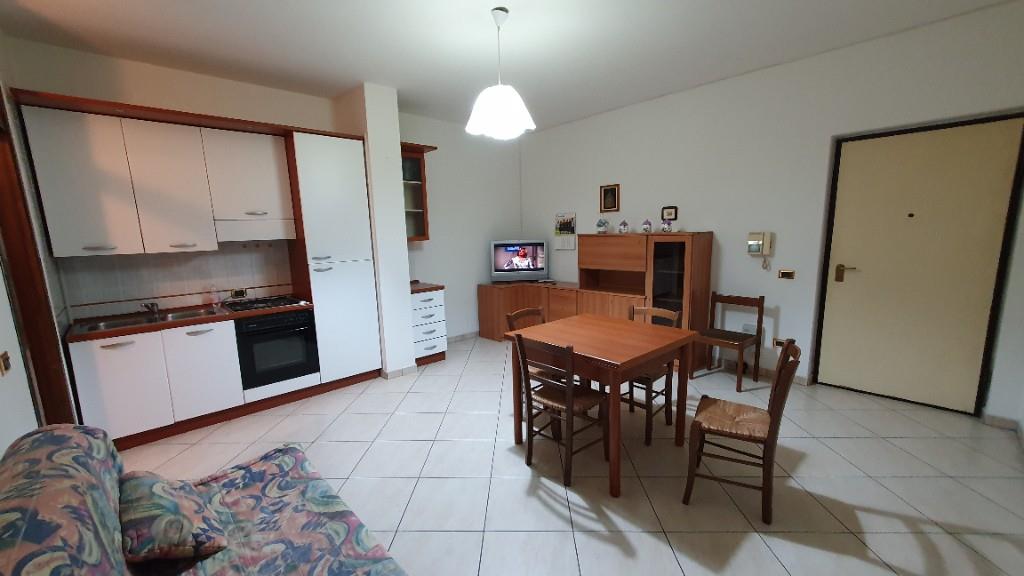 immagine annuncio 1 di 7