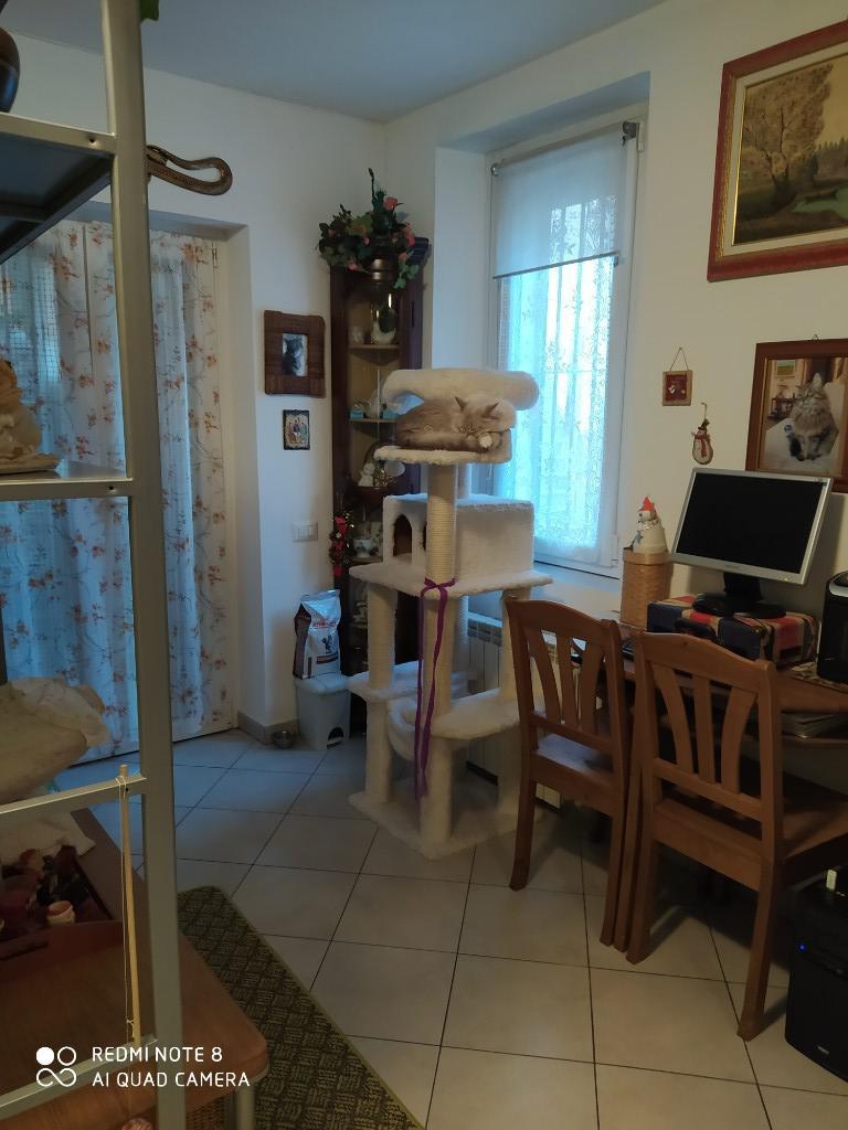 immagine annuncio 6 di 7