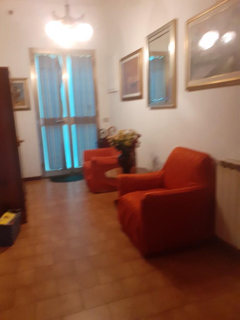 immagine annuncio 1 di 7