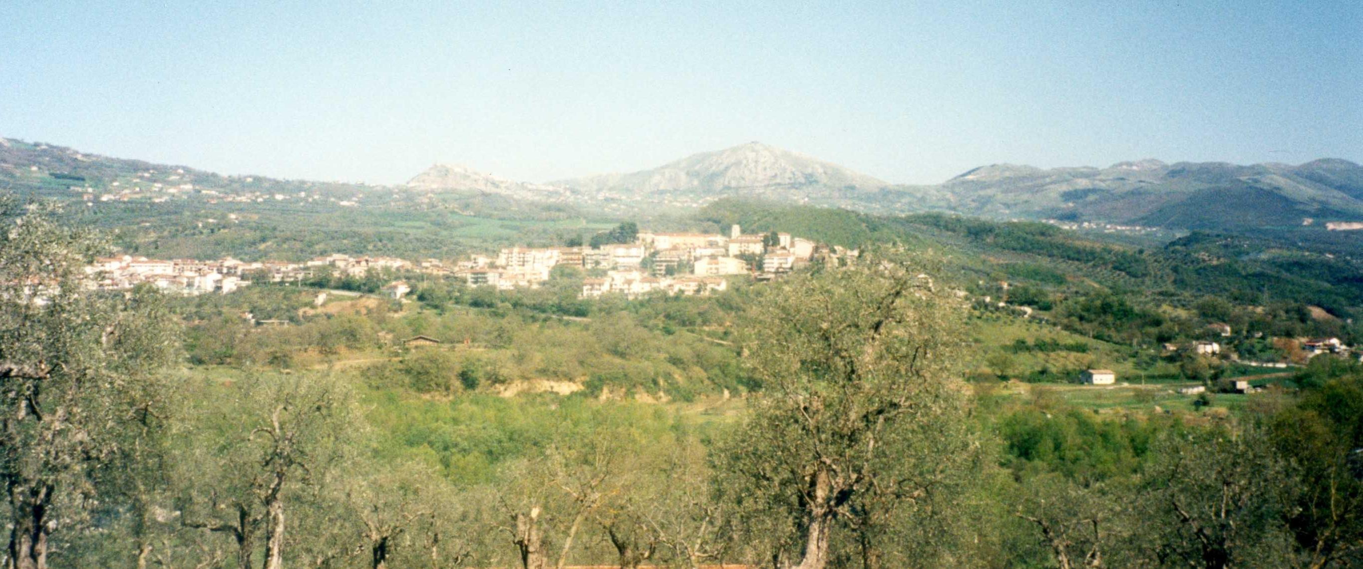immagine annuncio 2 di 7