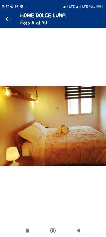 immagine annuncio 5 di 7