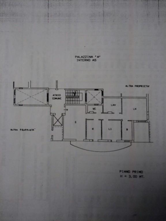 immagine annuncio 5 di 7