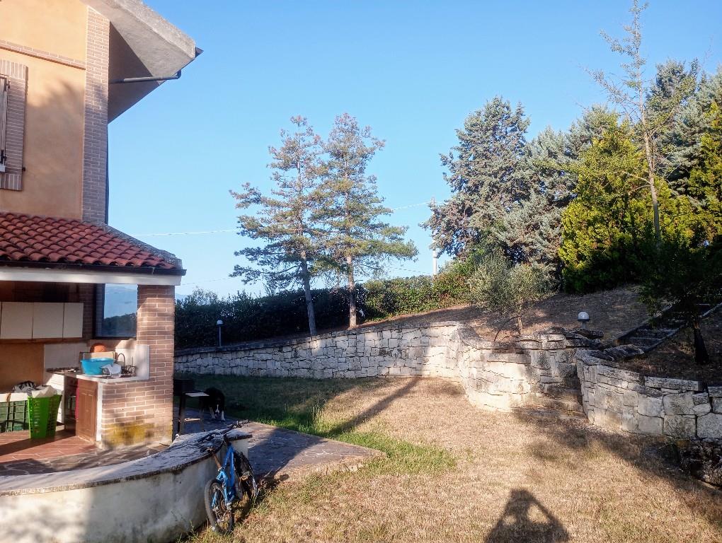 immagine annuncio 4 di 7