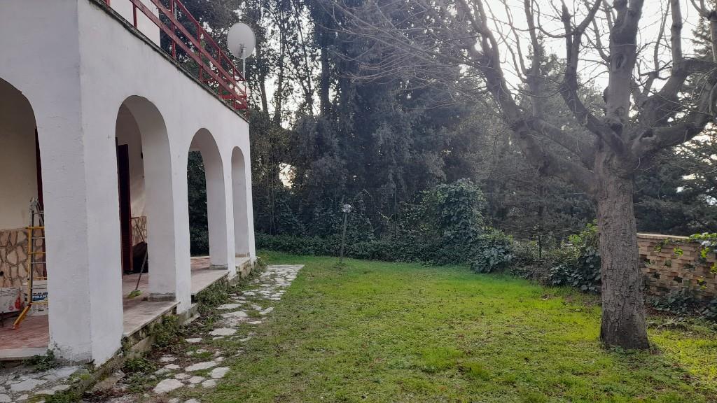 immagine annuncio 3 di 7