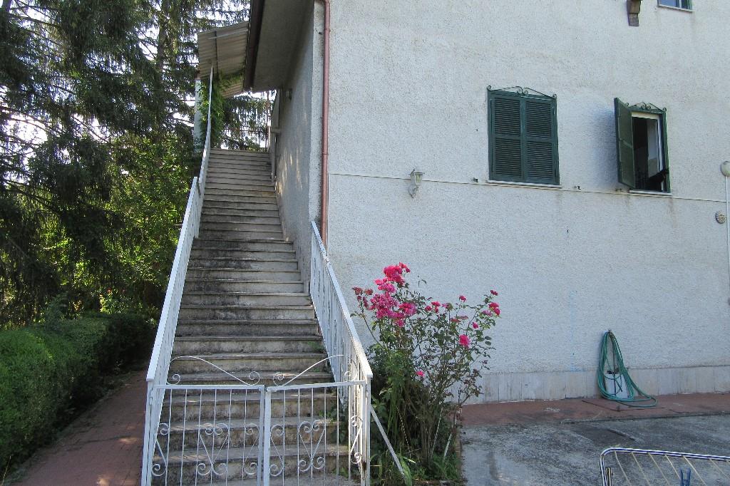 immagine annuncio 1 di 7