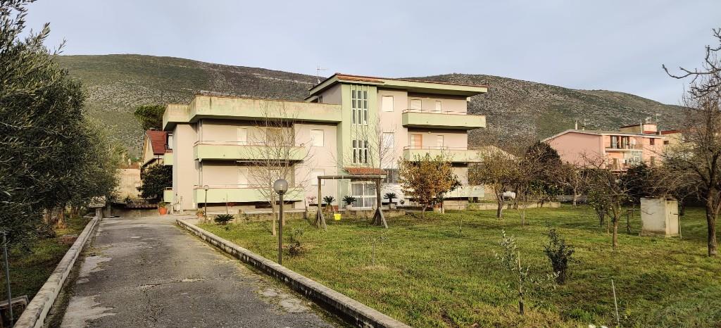 immagine annuncio 5 di 7