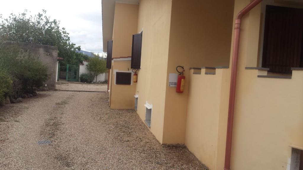 immagine annuncio 5 di 7