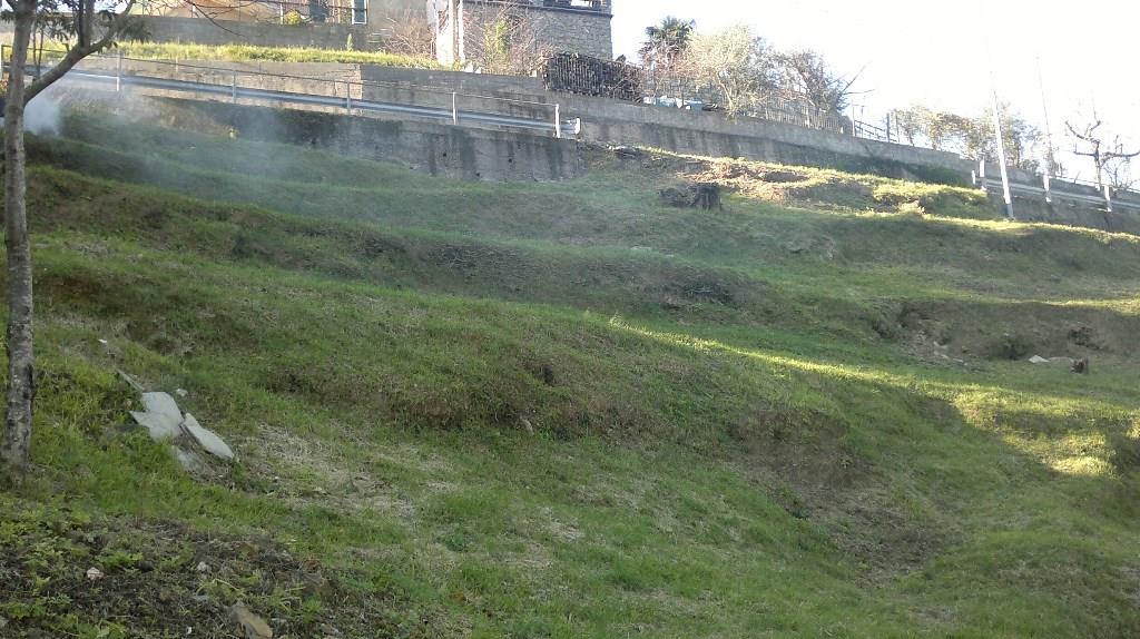immagine annuncio 5 di 7