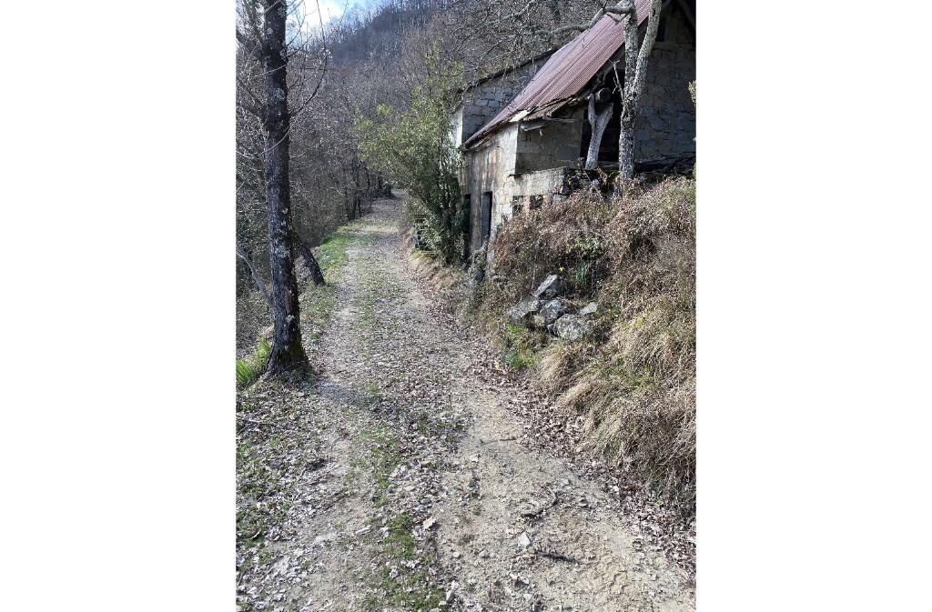immagine annuncio 4 di 7