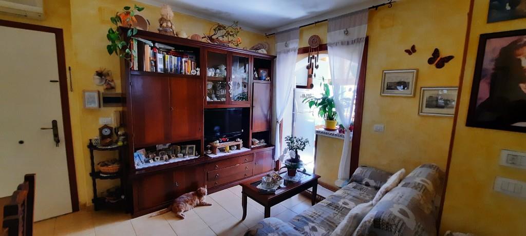 immagine annuncio 2 di 7