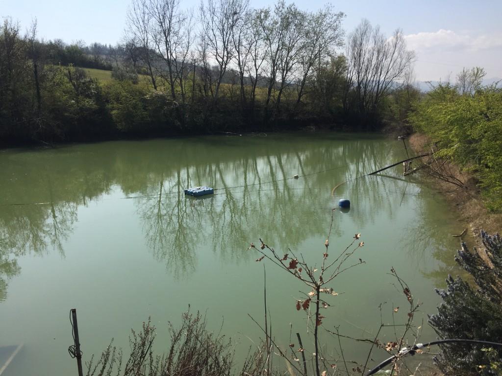 immagine annuncio 3 di 7
