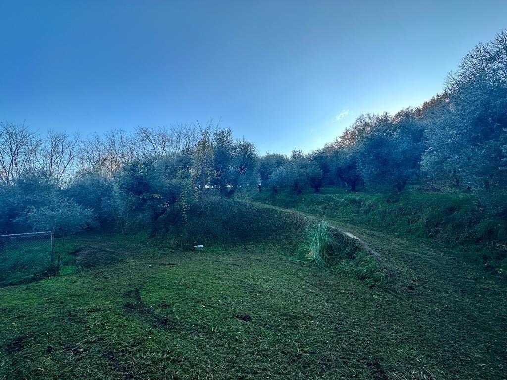 immagine annuncio 6 di 7