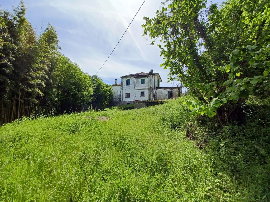 immagine annuncio 3 di 7