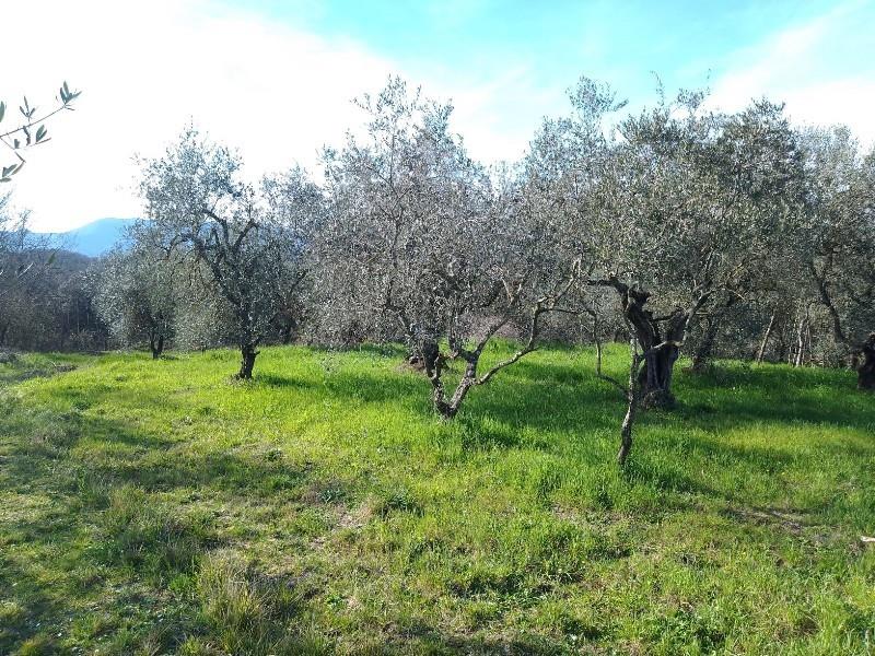 immagine annuncio 5 di 7