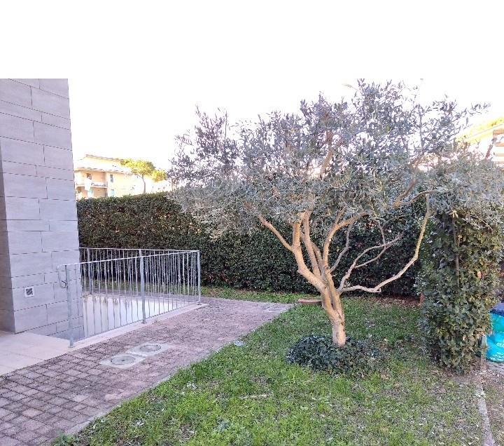 immagine annuncio 6 di 7