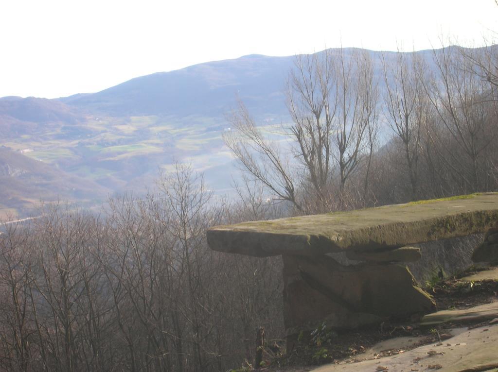 immagine annuncio 5 di 6