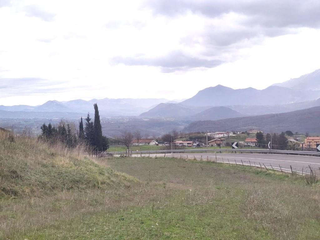 immagine annuncio 5 di 6