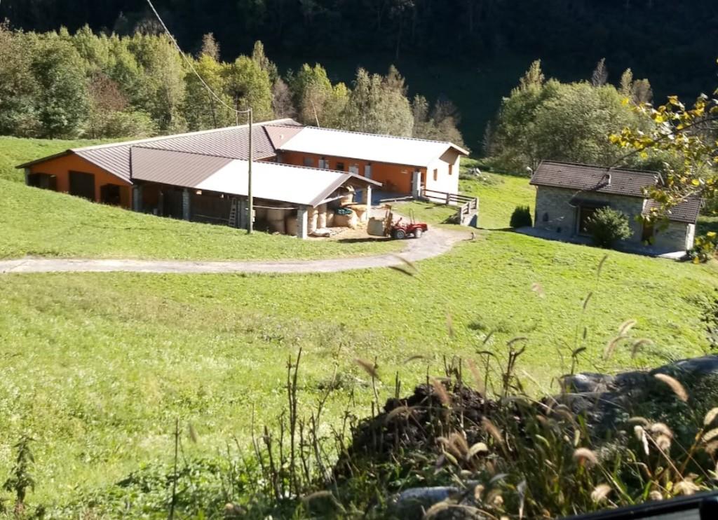 immagine annuncio 4 di 7