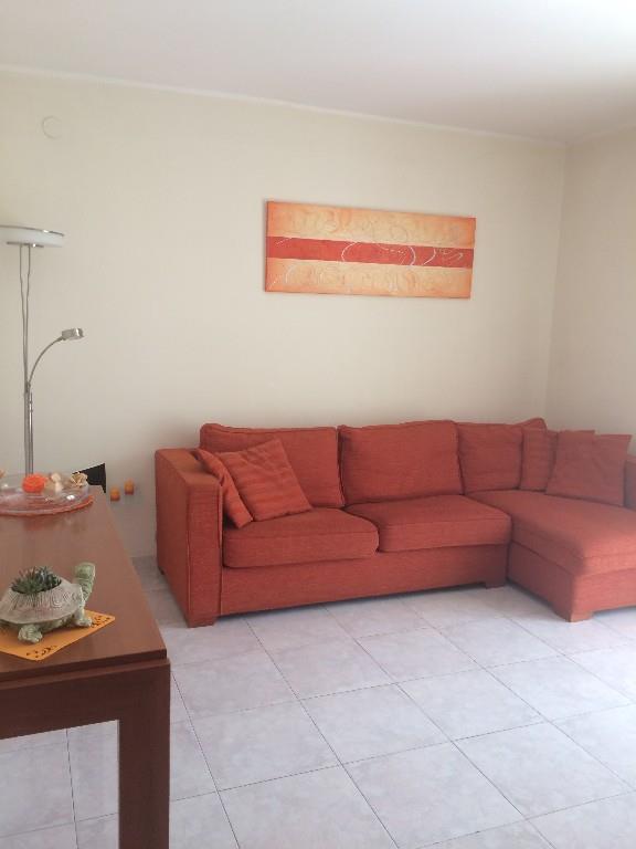 immagine annuncio 3 di 7