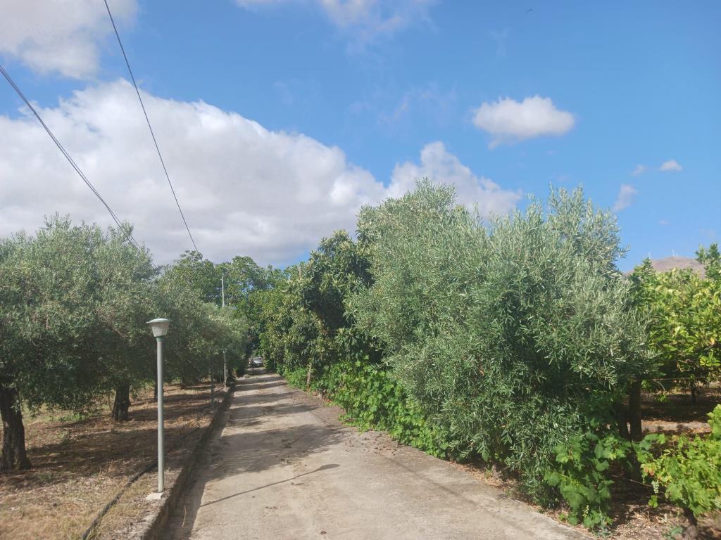 immagine annuncio 4 di 7