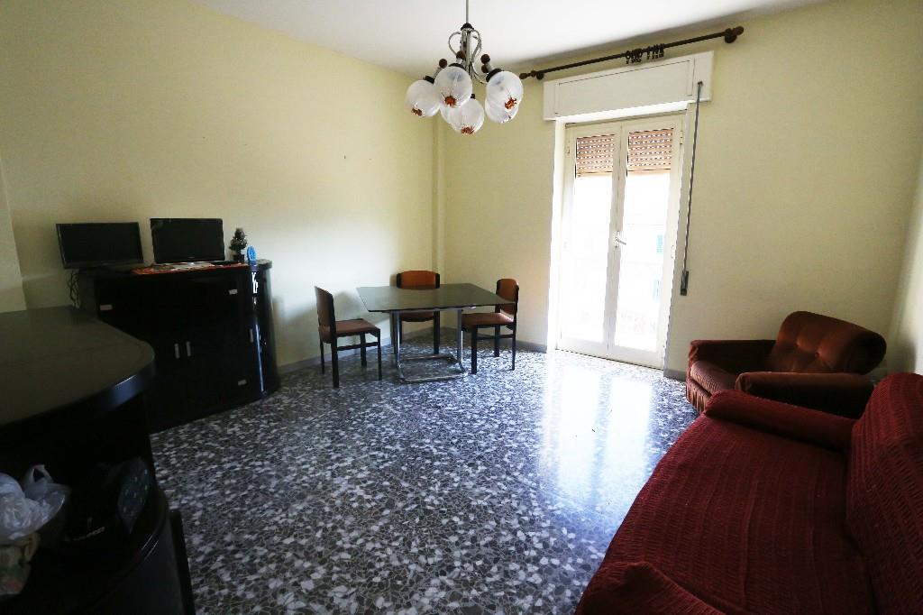 immagine annuncio 1 di 7