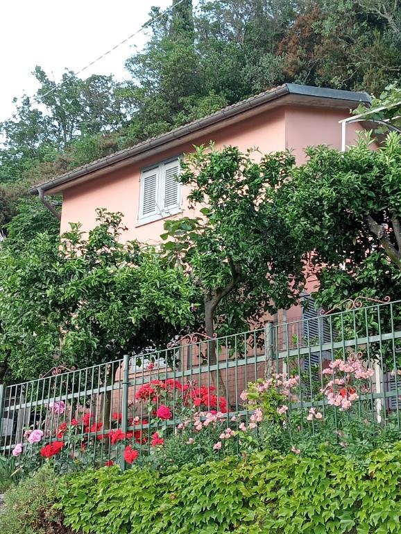 immagine annuncio 4 di 7