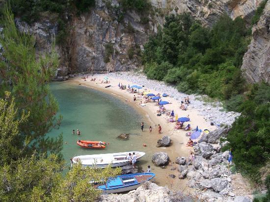 immagine annuncio 3 di 7