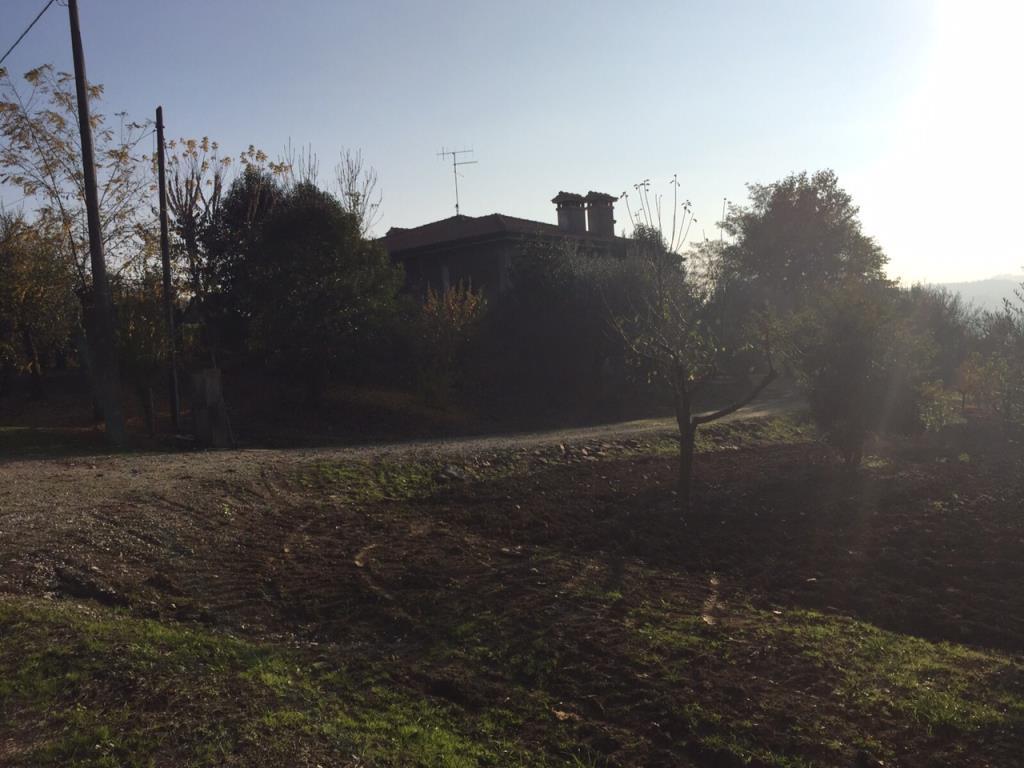immagine annuncio 2 di 7