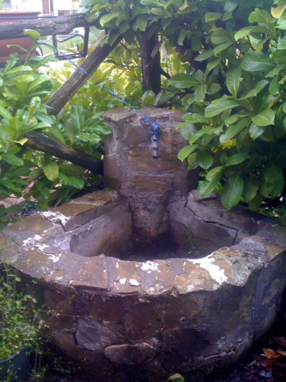 immagine annuncio 2 di 7