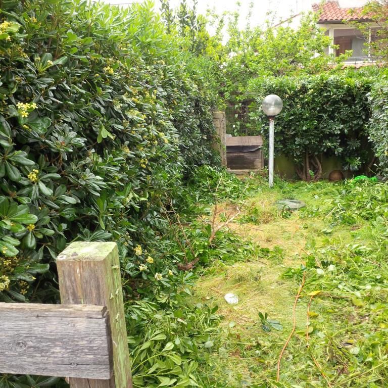 immagine annuncio 4 di 6