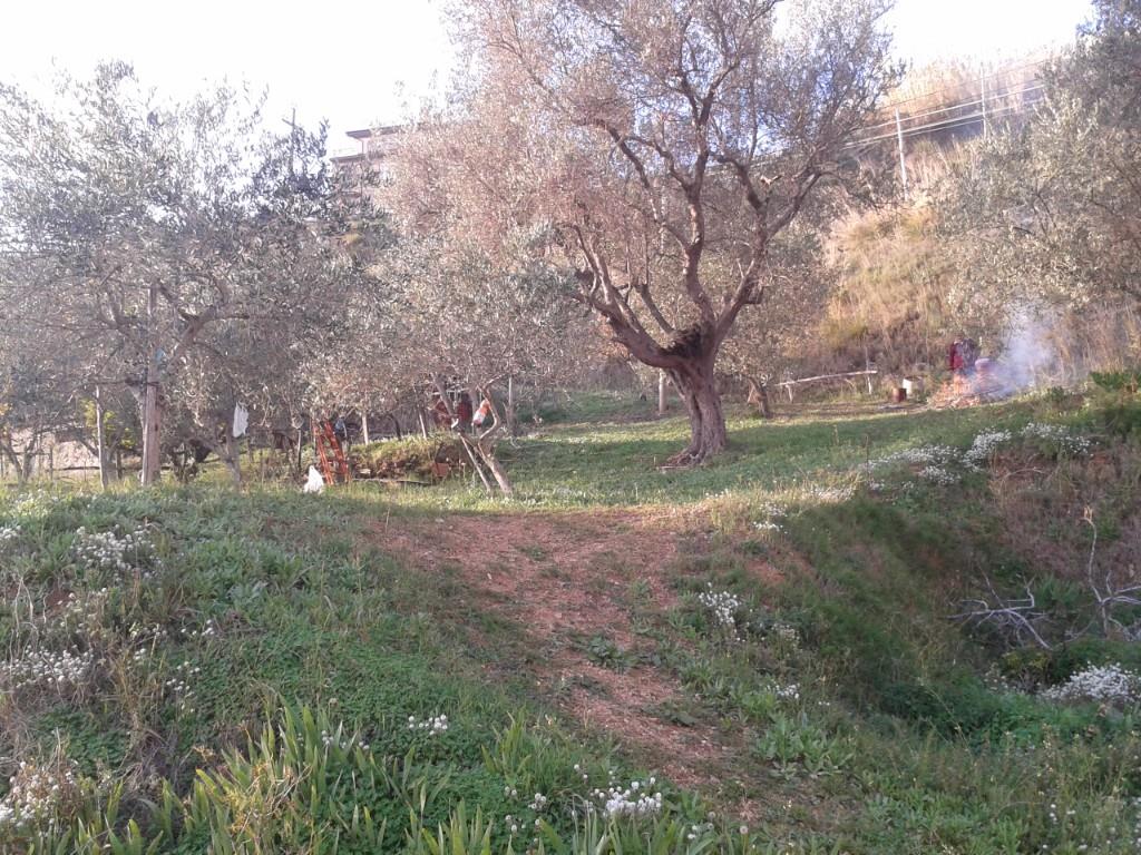 immagine annuncio 5 di 6