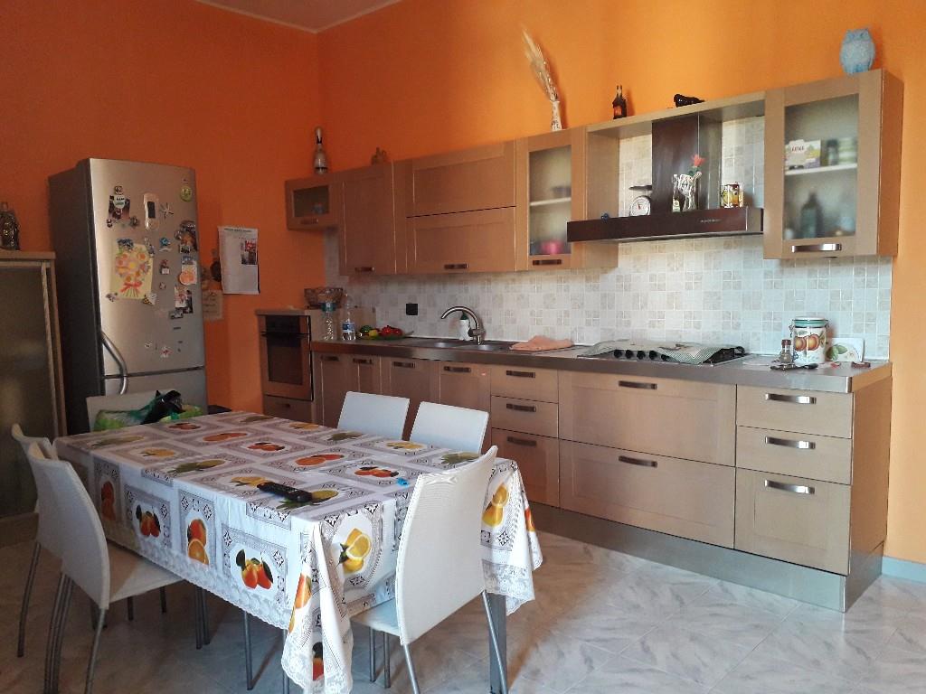 immagine annuncio 1 di 7