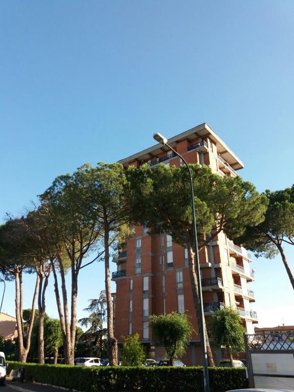 immagine annuncio 5 di 7