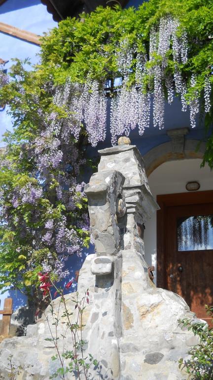 immagine annuncio 4 di 7