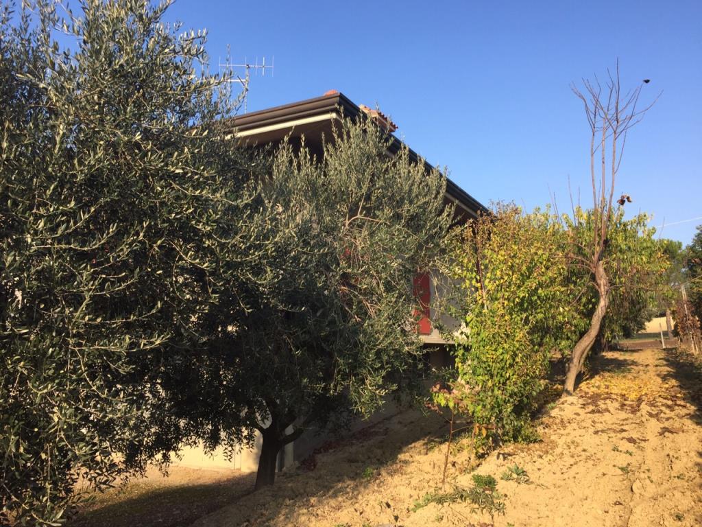 immagine annuncio 1 di 7